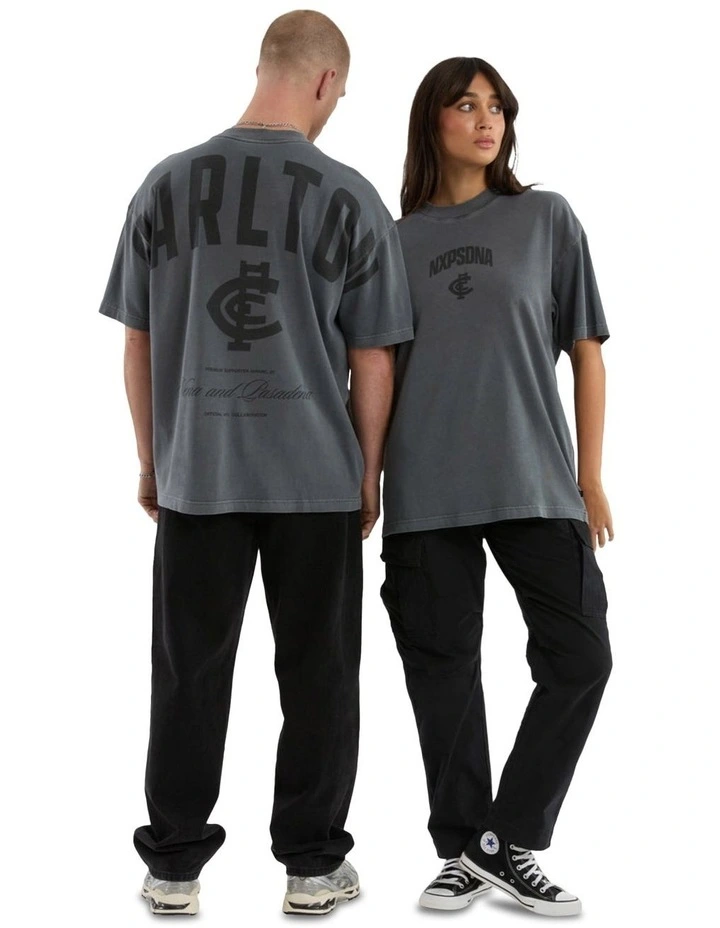 Carlton Hunter Tee in Pigment Charcoal image 4