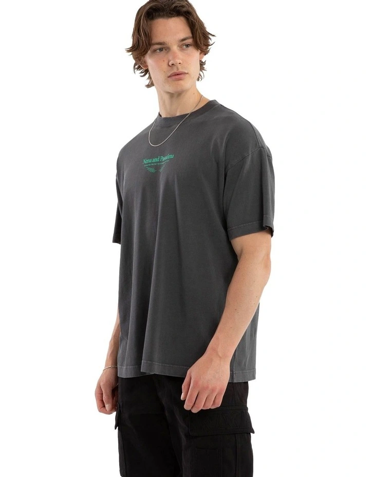 Stadium Raptor Tee in Grey image 3