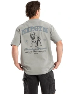 Ground Box Fit Tee in Grey