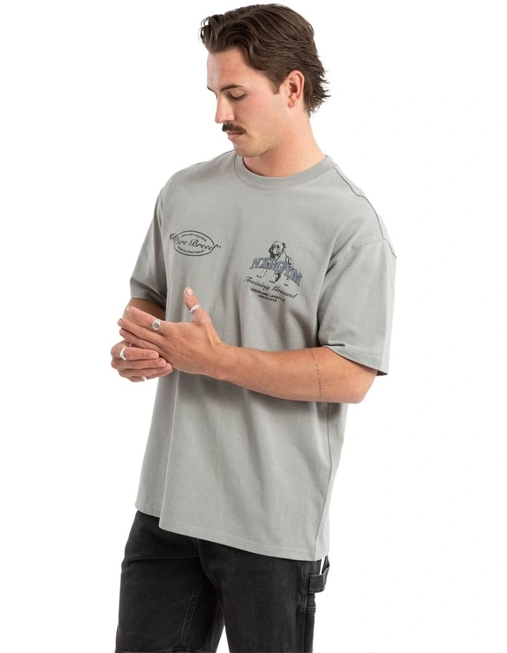 Ground Box Fit Tee in Grey image 2