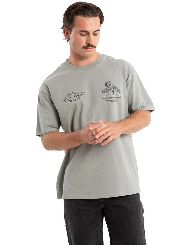 Ground Box Fit Tee in Grey image 3