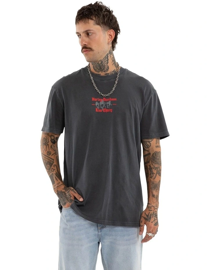 Harley Davidson Canyon Relaxed Tee in Grey image 1