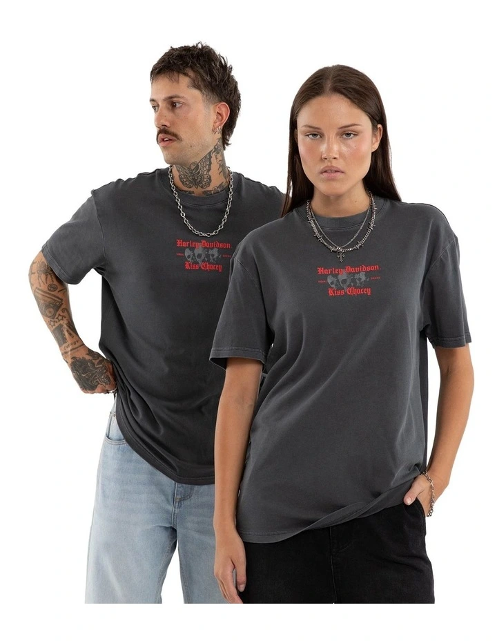 Harley Davidson Canyon Relaxed Tee in Grey image 3