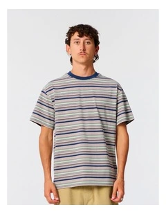 Sun Cured Stripe Tee in Multi
