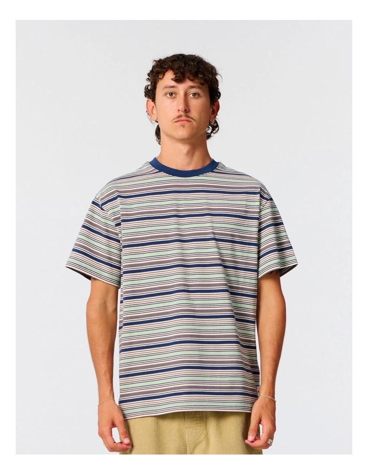 Sun Cured Stripe Tee in Multi image 1