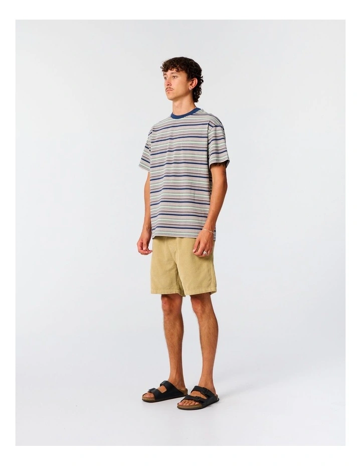 Sun Cured Stripe Tee in Multi image 3