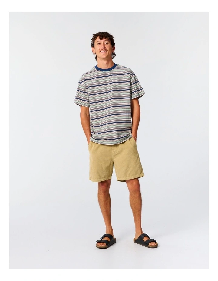 Sun Cured Stripe Tee in Multi image 5