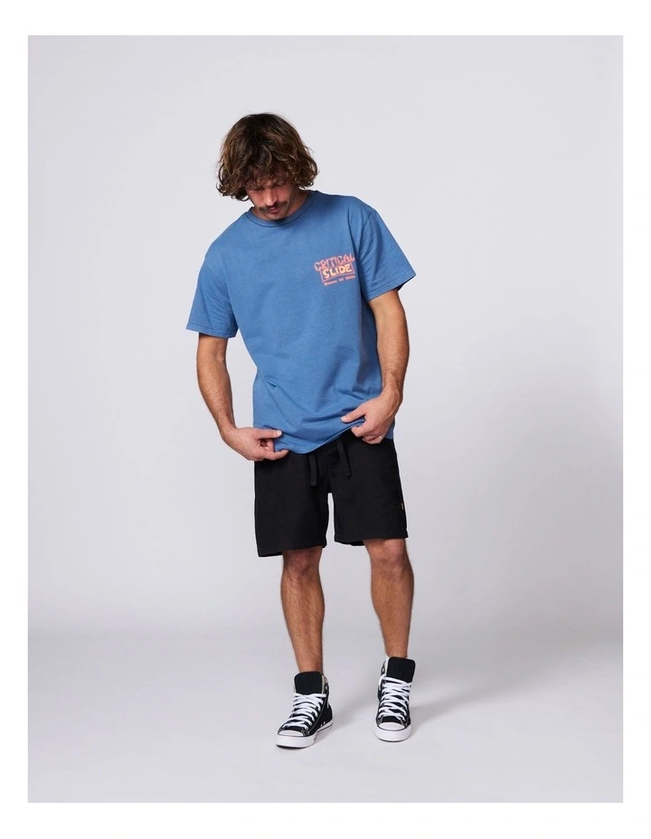 Sun Cured Matchbox Tee image 5