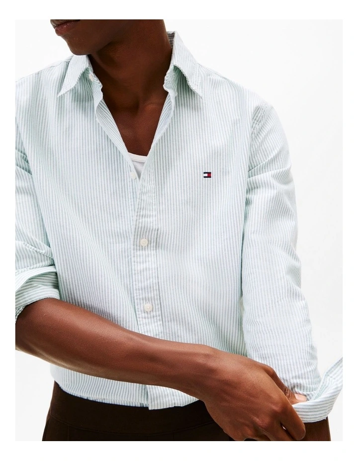 Heritage Stripe Regular Fit Oxford Shirt in Green image 2