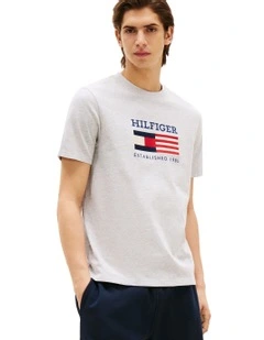 Americana Flag Box Tee in Grey