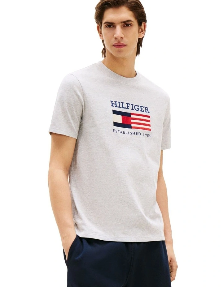 Americana Flag Box Tee in Grey image 1