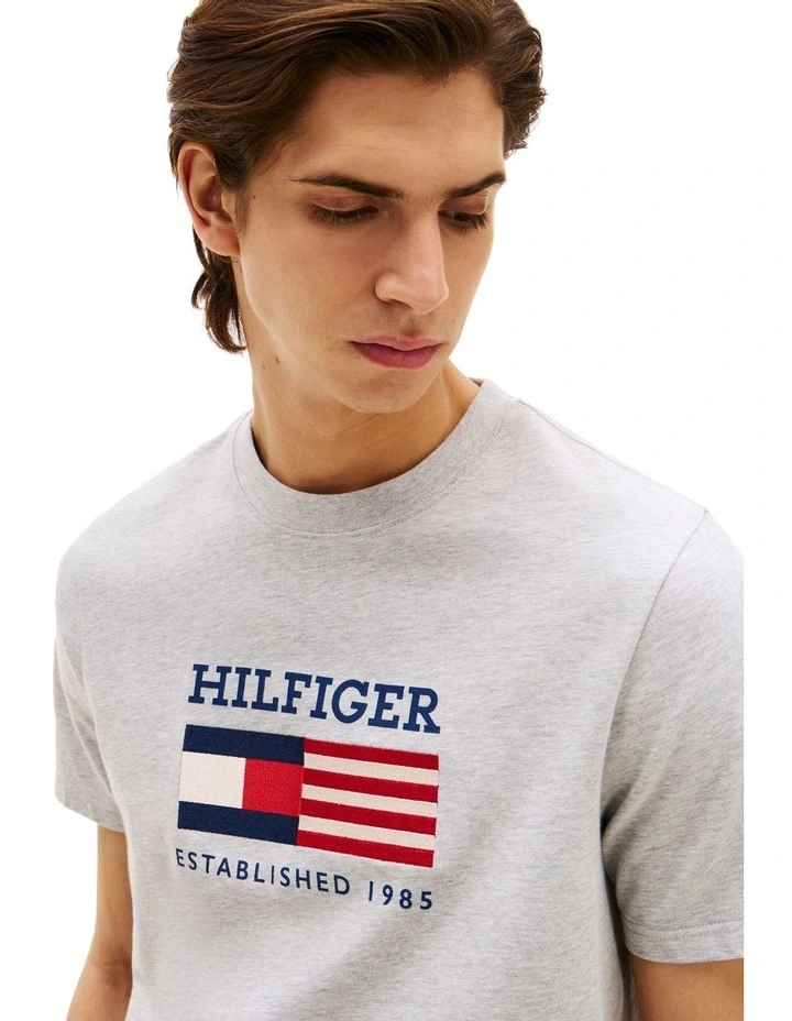 Americana Flag Box Tee in Grey image 3