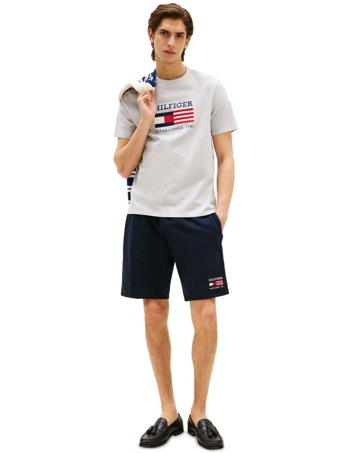 Americana Flag Box Tee in Grey image 4