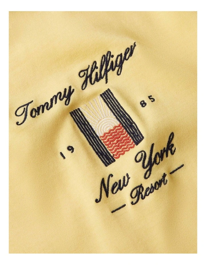 Seasonal Flag Logo Tee in Yellow image 5