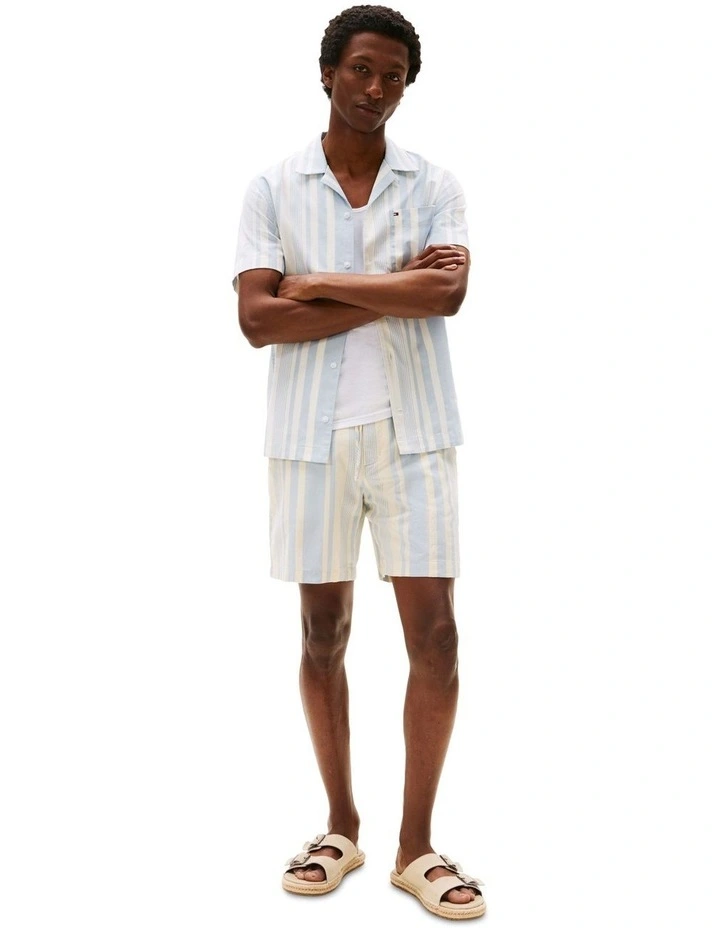 Mercer Mixed Stripe Shorts in Blue image 4