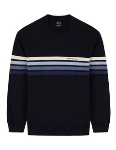 Striped Sweatshirt in Blue Mixed Stripe
