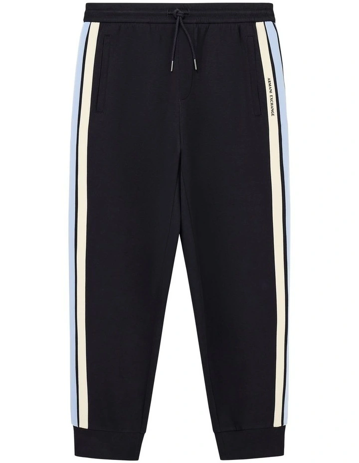 Striped Sweatpants in Blue Mix image 1