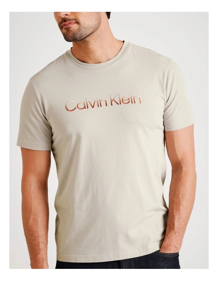 Raised Ombre Embroidery T-shirt in Dove image 2