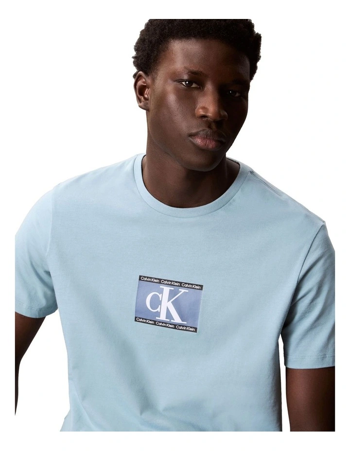 Logo Graphic Tee in Stone Blue image 3