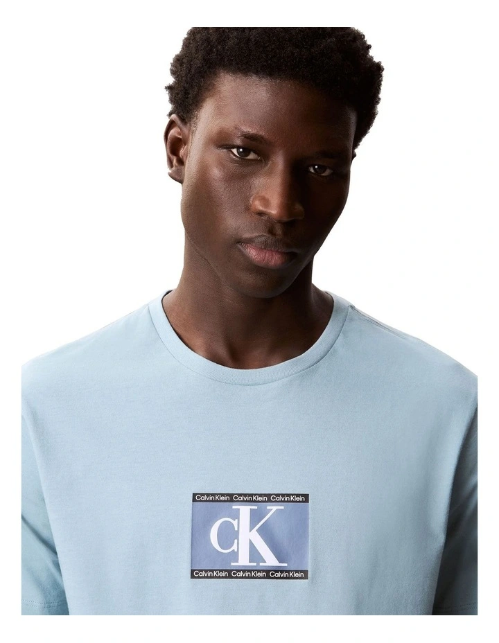 Logo Graphic Tee in Stone Blue image 4