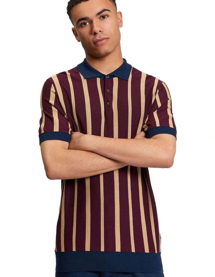 Raised Stripe Polo Shirt in Dark Wine image 1