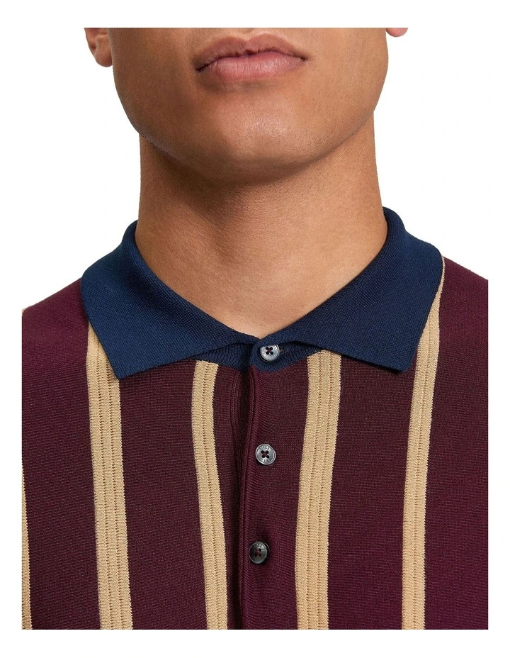 Raised Stripe Polo Shirt in Dark Wine image 4