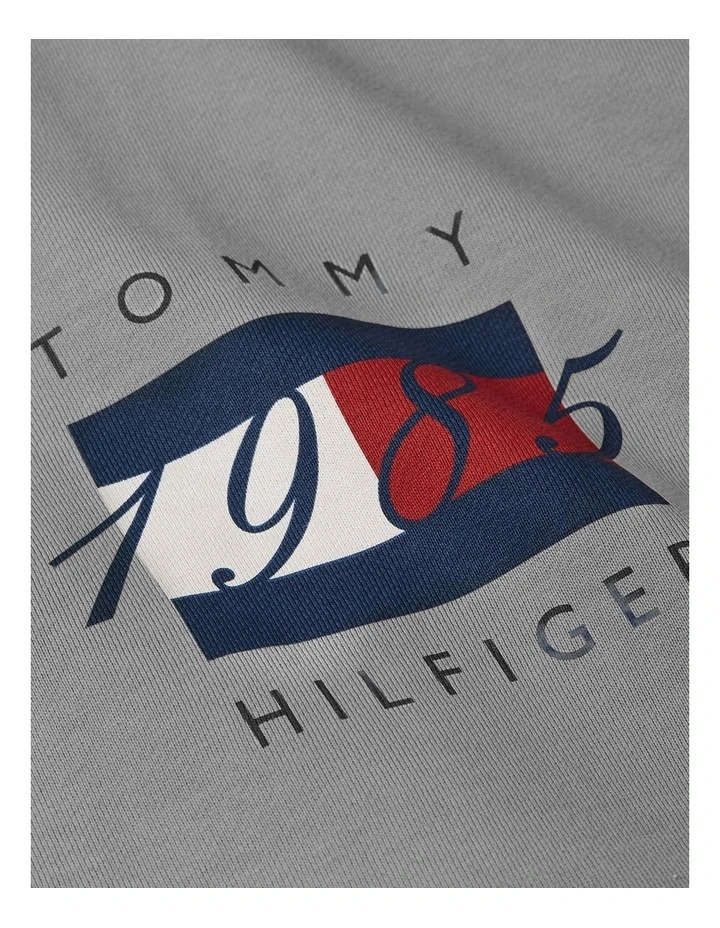 Flag Graphic Drawstring Hoody in Brown image 6