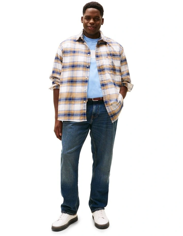 Big And Tall Regular Fit Check Flannel Shirt in Multi image 4