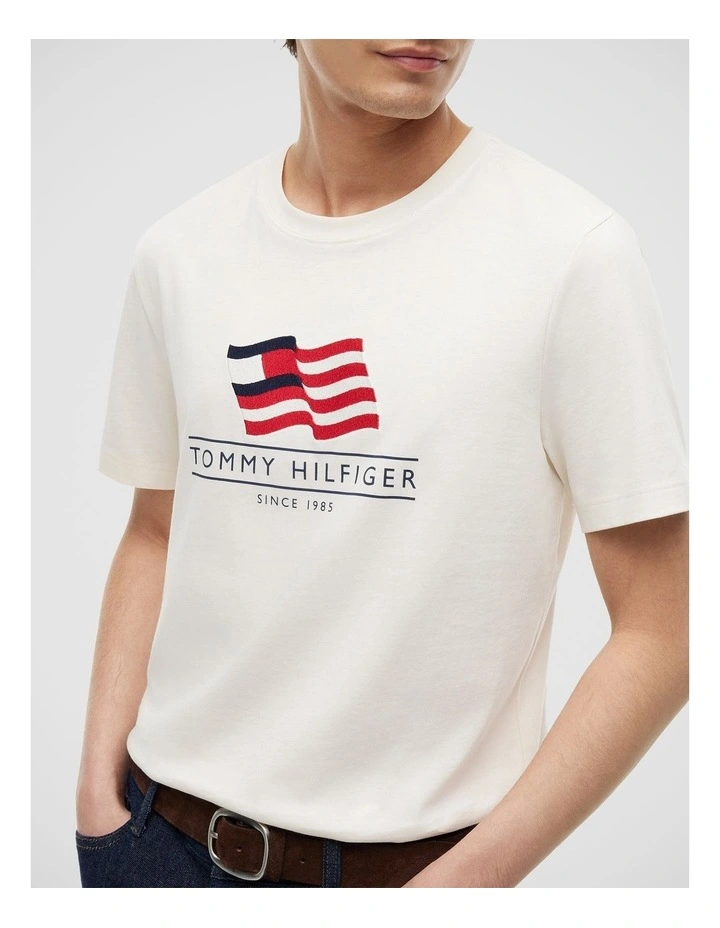 Wavy Flag Appliqu Jersey T-Shirt in White image 4