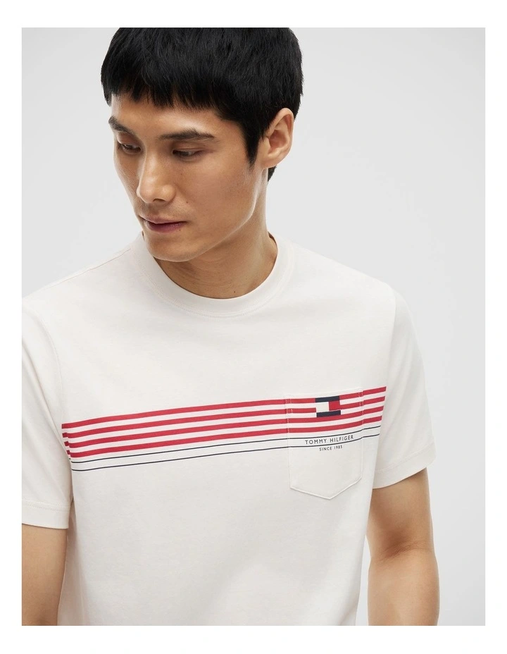 Americana Striped Tee in White image 4