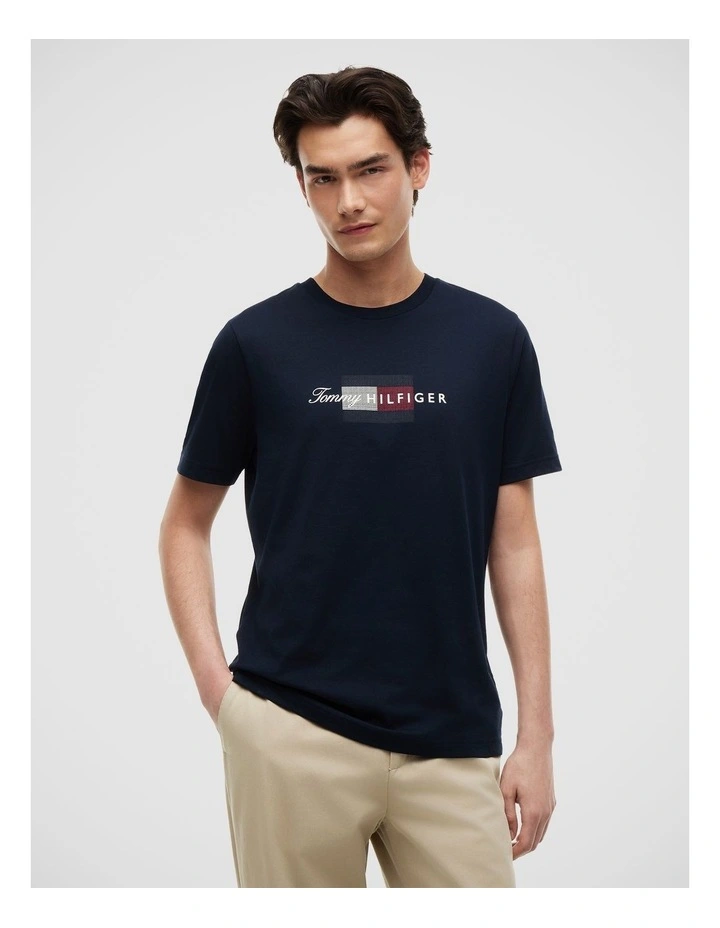 Flag Graphic Jersey T-Shirt in Navy image 1