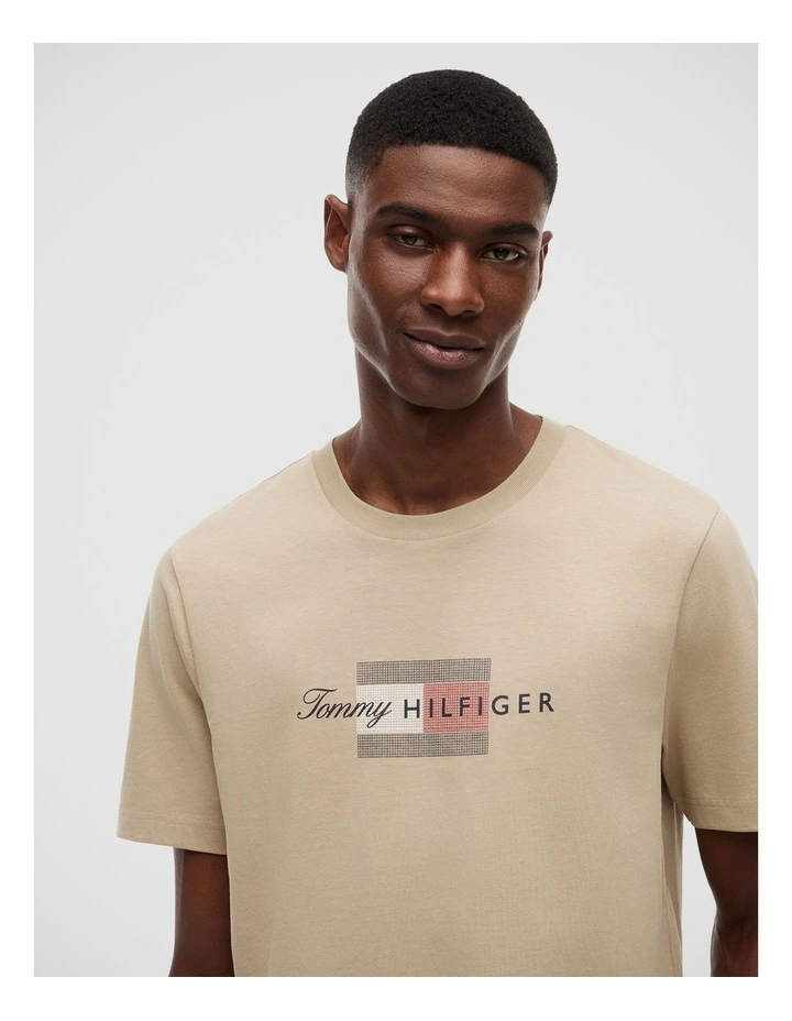 Flag Graphic Jersey T-Shirt in Beige image 4