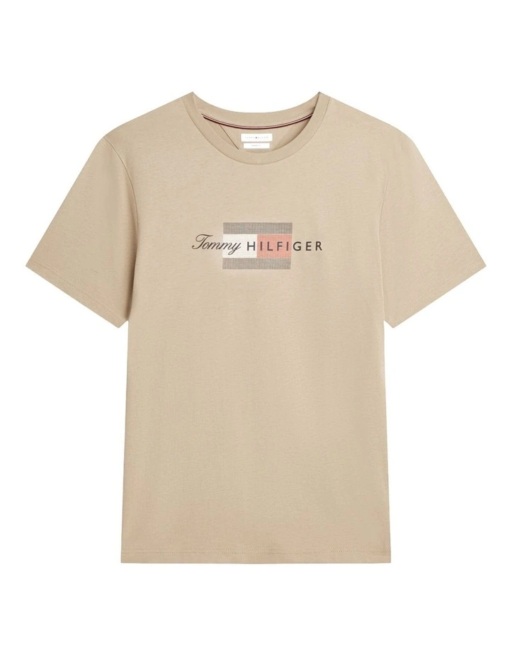 Flag Graphic Jersey T-Shirt in Beige image 6