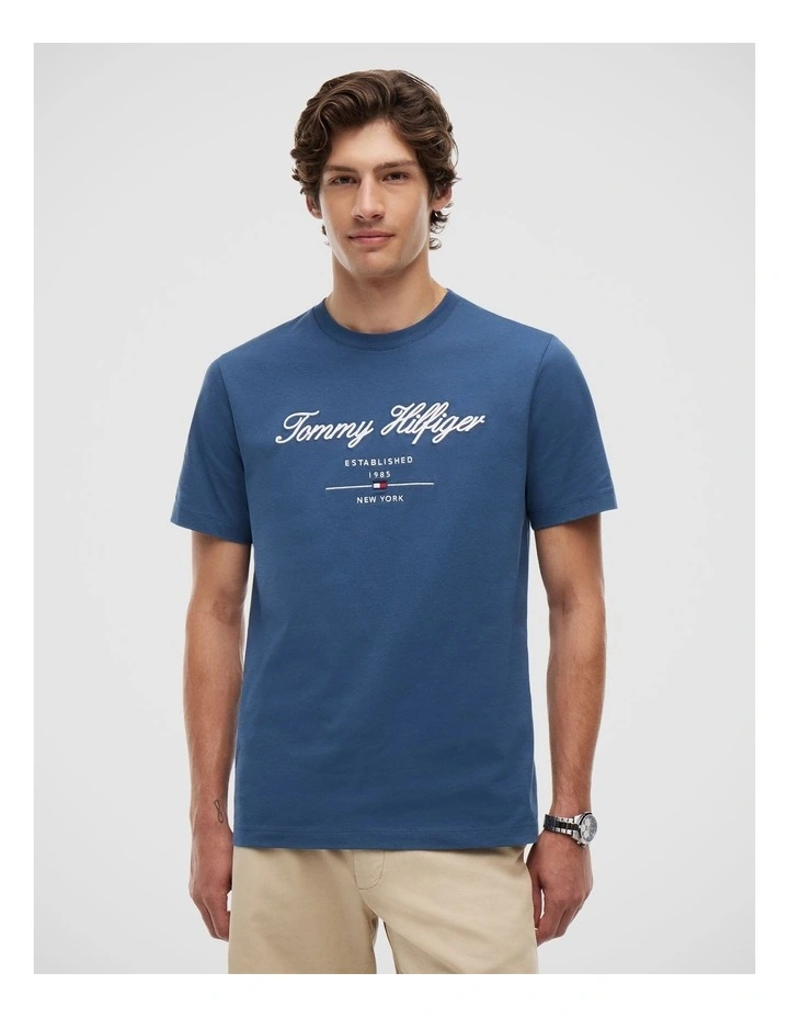 Script Logo Jersey T-Shirt in Blue image 1
