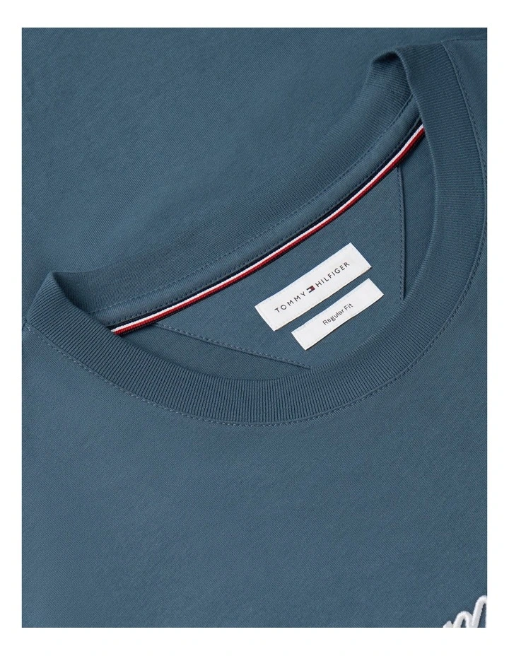 Script Logo Jersey T-Shirt in Blue image 5