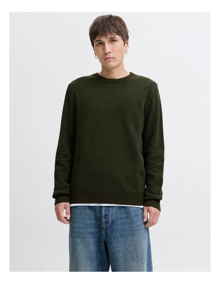 Globe Cotton Crew Neck Knit in Green image 1