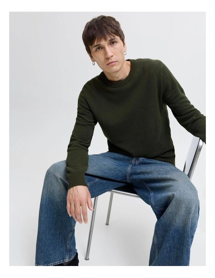 Globe Cotton Crew Neck Knit in Green image 4