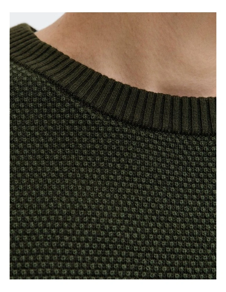 Globe Cotton Crew Neck Knit in Green image 6