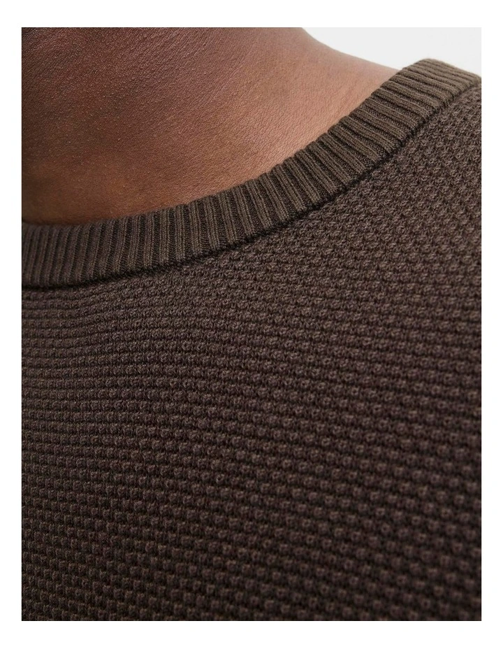 Globe Crew Neck Knit in Brown image 2
