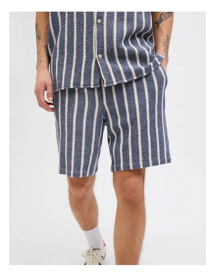 JPSTJAIDEN COBA Stripe Jog Shorts in Ocean Cavern image 2