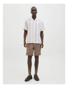 Jpstbowie Chino Shorts in Morel