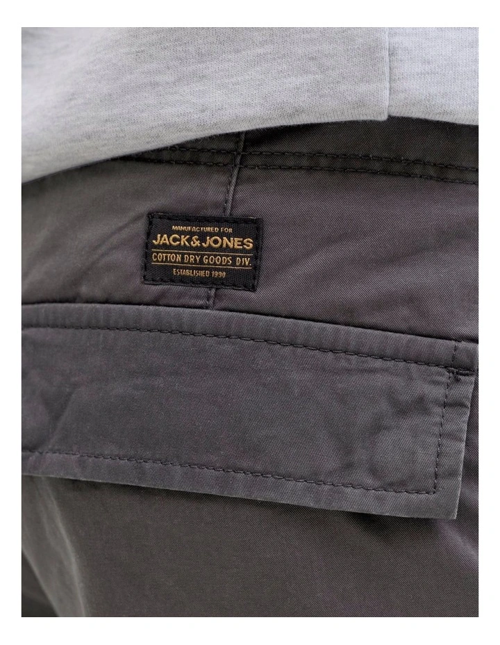 JJ COLE FRANK CARGO SHORTS image 5