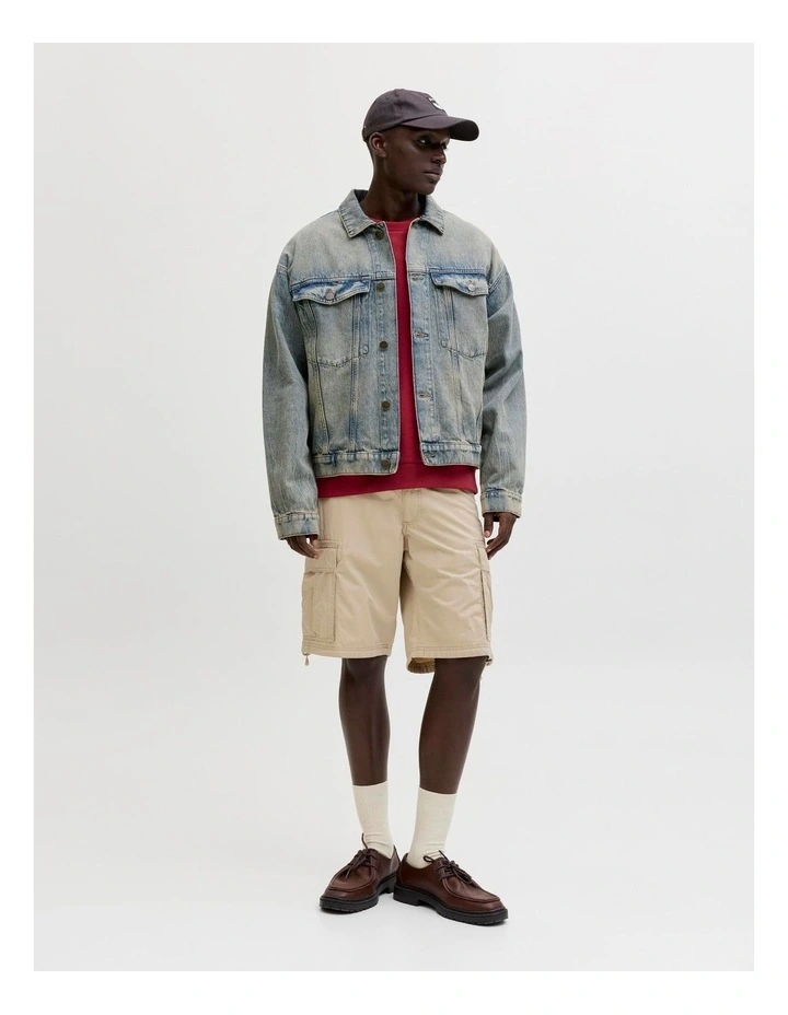 JJ COLE FRANK CARGO SHORTS image 3