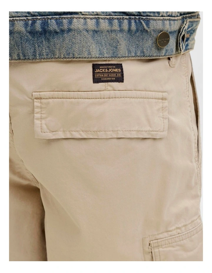 JJ COLE FRANK CARGO SHORTS image 4