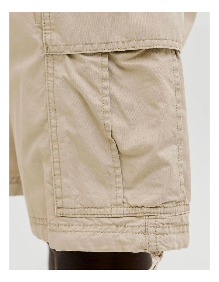 JJ COLE FRANK CARGO SHORTS image 5