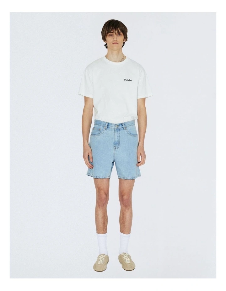 Roan Shorts in Haze Light Retro image 5