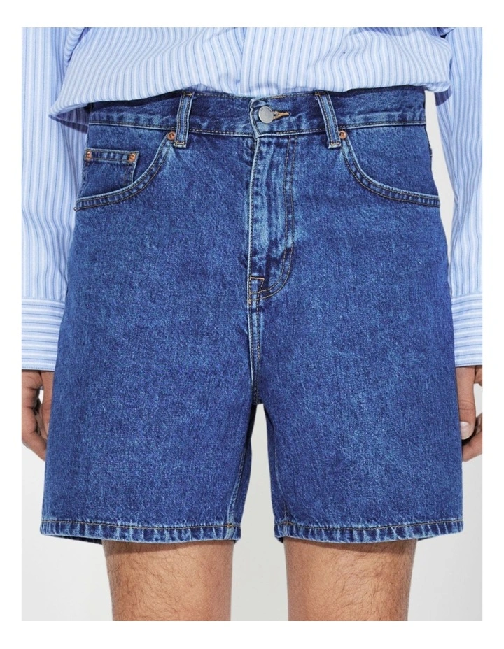 Roan Shorts in Haze Mid Retro image 3