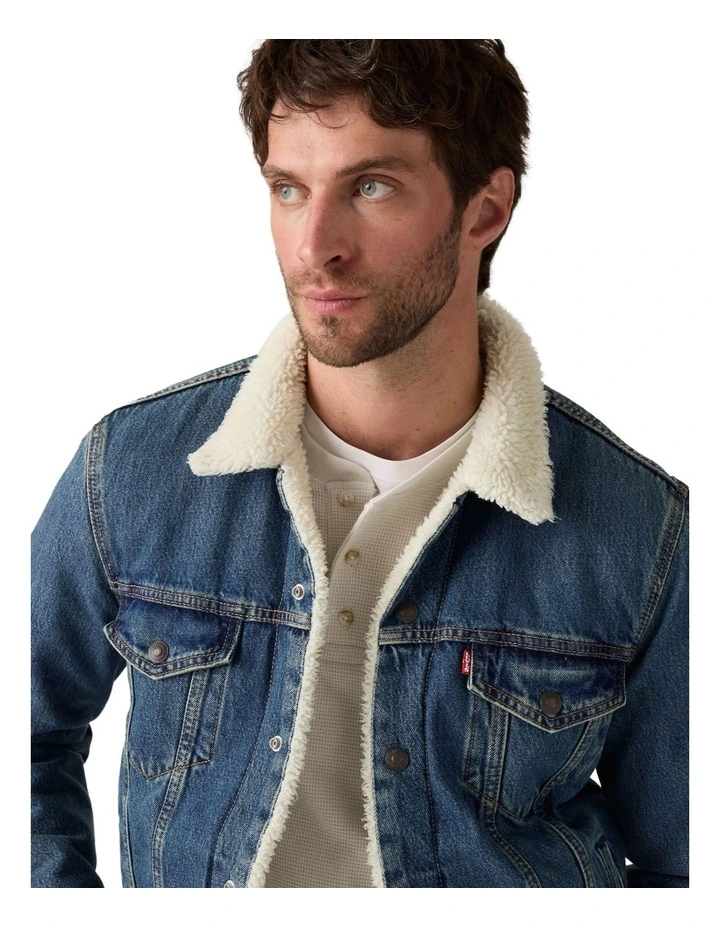 Type III Sherpa Trucker Jacket in In The Morning image 2