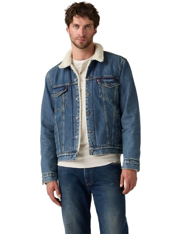 Type III Sherpa Trucker Jacket in In The Morning image 3