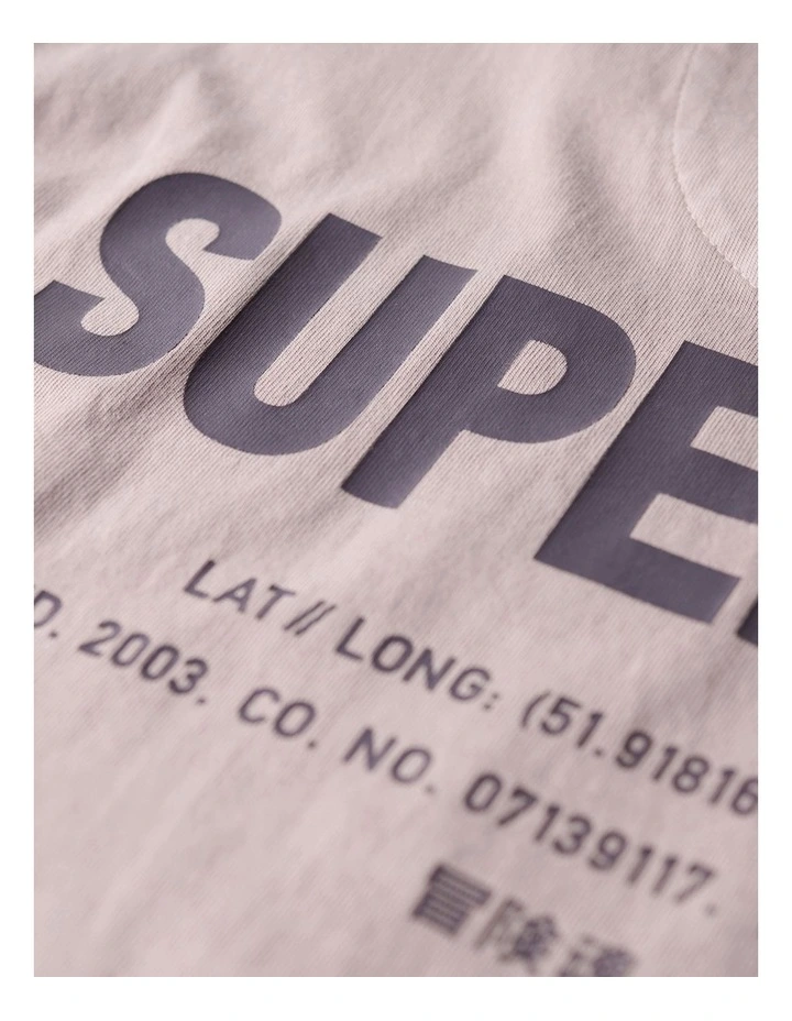 Utility Sport Graphic T/Shirt in Cloud Grey image 6